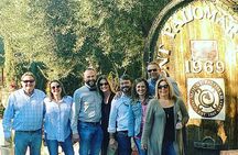 Temecula Valley Wineries and Vineyards Drink and Taste Tour From Orange County