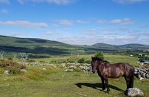 Wicklow Mountains Horse Trekking