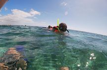 Reef Snorkel In National Park In Puerto Morelos With Lunch And Transportation