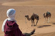 2-Day Zagora Desert Trip from Marrakech
