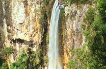Rainforest & Waterfalls Experience