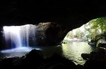 Kangaroos, Rainforest & Waterfalls Experience - Small Group