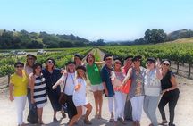 Private Wine Tasting Tour From Santa Ynez, Solvang or Buellton!