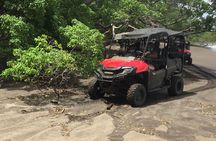 Private Beach and Mountain Buggy Tour in Guanacaste