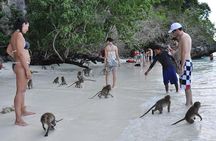 Full Day & Sunset Phi Phi Islands Tour From Phi Phi by Speedboat
