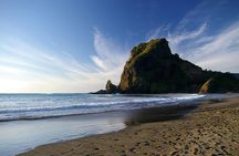 Piha Waitakere Rainforest Wine Tour from Auckland
