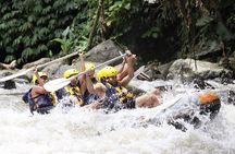 Full-Day Ayung River White Water Rafting and Ubud Tour