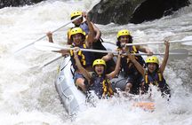 Full-Day Ayung River White Water Rafting and Ubud Tour