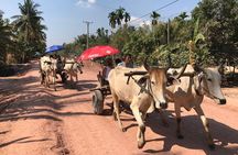 Ox Cart Ride of Rural Cambodia