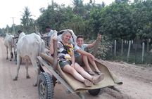 Ox Cart Ride of Rural Cambodia