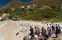 Cape Town Private, Robben Island and Cape point Tour
