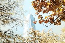 Private Ground Zero Tour with Optional One World Observatory Upgrade