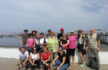 Ballestas Islands, National Reserve of Paracas, Nazca Lines & Huacachina oasis