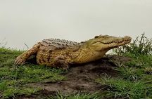 4 Days Safari to Mikumi NP and Udzungwa Mountain NP Mid - Range Accommodation