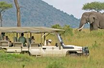 Cape Town South Africa - Best of Aquila Safari Tour 