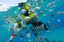 Discover Sosua's Underwater World & Beach Day