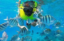 Discover Sosua's Underwater World & Beach Day