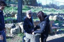 Guided Tour in Morgantina. Visit Morgantina.