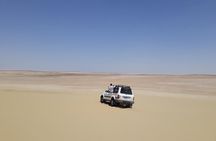 Explore Fayoum Oasis and modawara mountain ( sand-board )