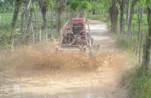Ultimate Dune Buggy and ATV Adventure with Cenote, Beach & Ranch
