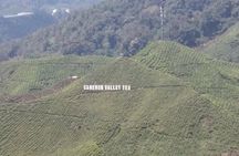 Cameron Highlands 3 Days 2 Night Tours Private (per Vehicle)
