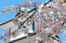 Kanazawa private 1 day/Photoshoot by professional photographer
