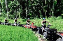 Best of Ubud Adventure: Ayung Rafting - ATV - Quad Bike with Private Transport