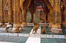 Bagan: Excursion to Mt. Popa National park day trip