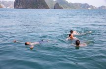Luxury Day Trip Visit Halong Bay and Lan Ha Bay (8Hours)