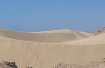 Sunset Sandboarding & Mint Tea in Timlaline Dunes 