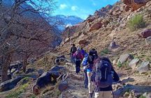 Atlas Mountains Day Trip from Marrakech with Berber Village Hike