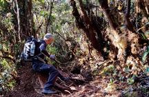 Mount Trusmadi Climb - 3 Days