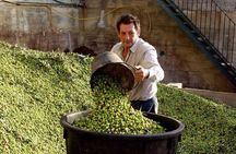 Wine tasting and Olive Oil in Tirana Surroundings