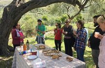 Wine tasting and Olive Oil in Tirana Surroundings
