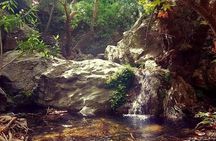 Excursion to Richtis Gorge & Waterfall