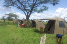 2 days budget safari (Tarangire)