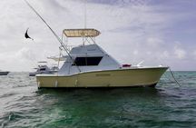 Deep sea fishing in Punta Cana and Bávaro.