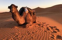 10-Day Chefchaouen to Sahara to Marrakech - Private Group