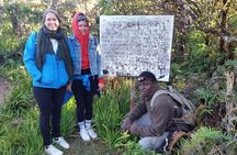 Blue Mountains Peak Hike