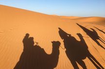 5-Day Tour - Fes and Sahara from Casablanca - Private Group