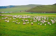 4 Days Tour: Central Mongolia 