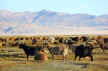 4 Days Tour: Central Mongolia 