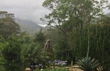 Santo Antonio da Pinhal (Private Car Guided Tour)
