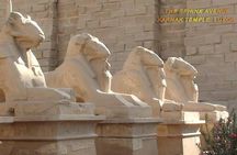 Full Day Tour: East And West Banks Of Luxor