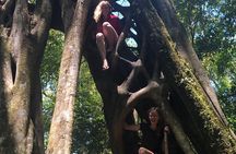 Monteverde Cloud Forest Authentic Experience