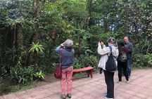 Monteverde Cloud Forest Authentic Experience