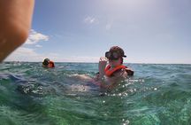Reef Snorkel In National Park In Puerto Morelos With Lunch And Transportation
