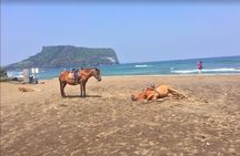 Jeju Private Full day tour of UNESCO Day Tour
