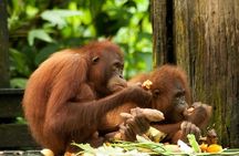 Orang Utan Island and Perak Tong Cave From Kuala Lumpur