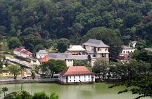 Temple of The Sacred Tooth Relic Entrance Ticket with Guide